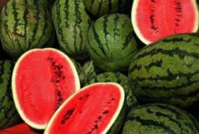 Watermelon+mbd-3