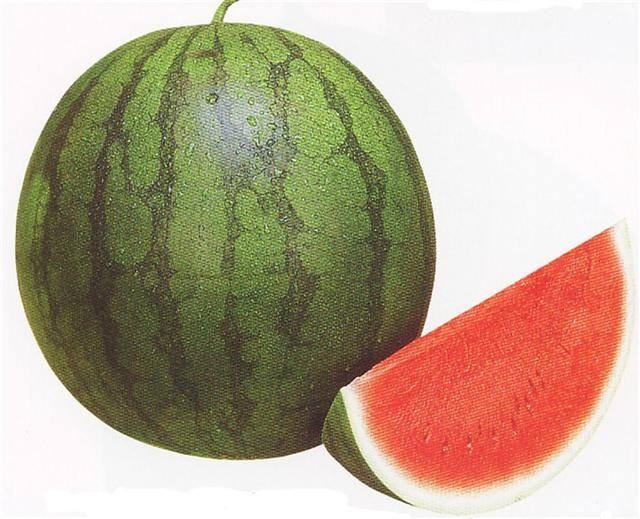 Watermelon+mbd-4