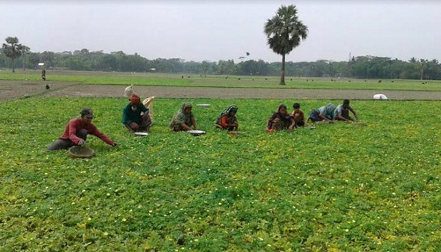 uchheya+produce+mbd-3