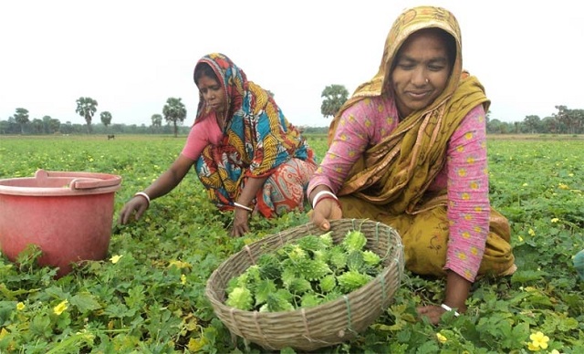 uchheya+produce+mbd-4