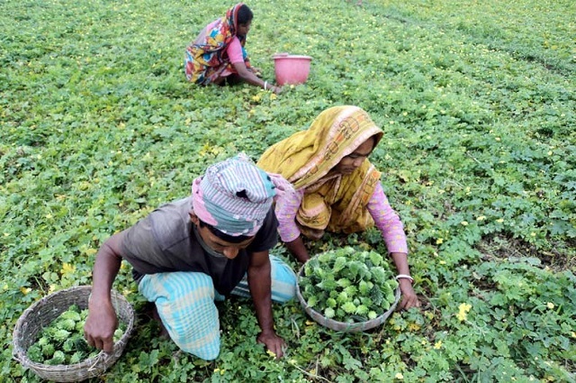 uchheya+produce+mbd-6