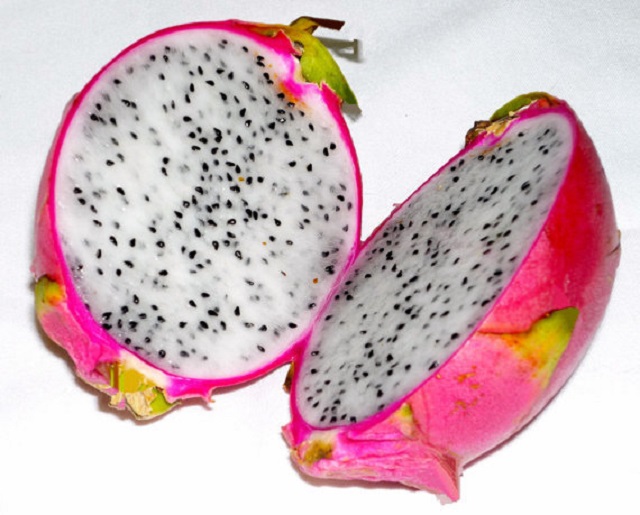 dragon+fruite+Nilphamari+mbd-3