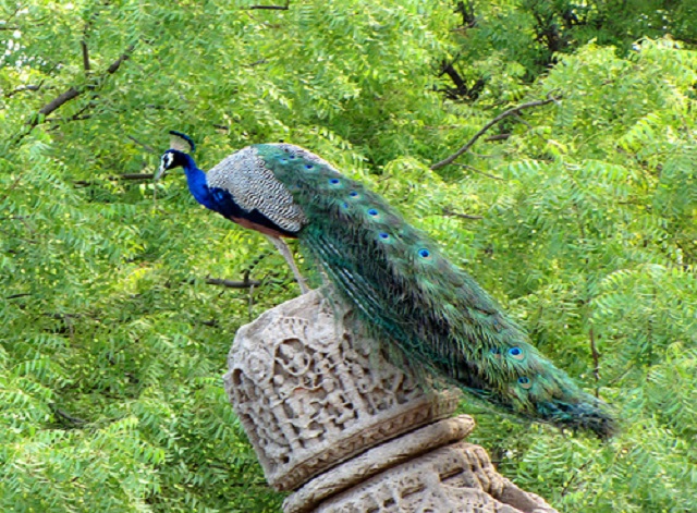 picnic+Brack+Inn+mbd-8