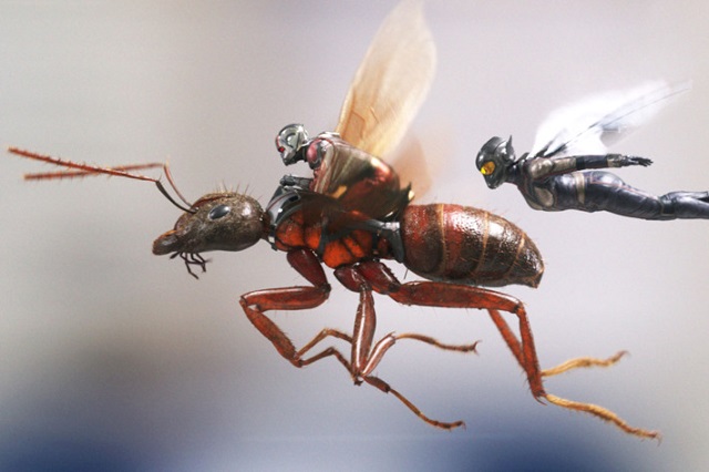 ant+man+and+the+wasp+mbd-6