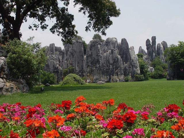 flower+city+kunming+mbd-3