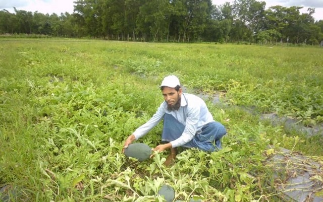 badu+habiganj+frute+mbd-2