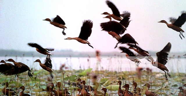 tangua+tourism+mbd-2