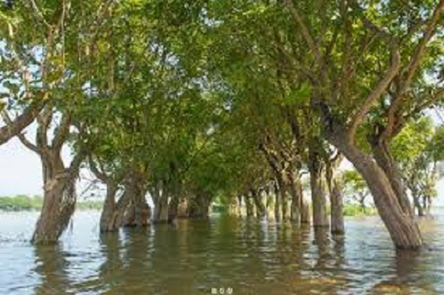 tangua+tourism+mbd-3