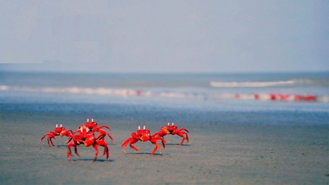 BARGUNA+tourist+Spot+mbd-3