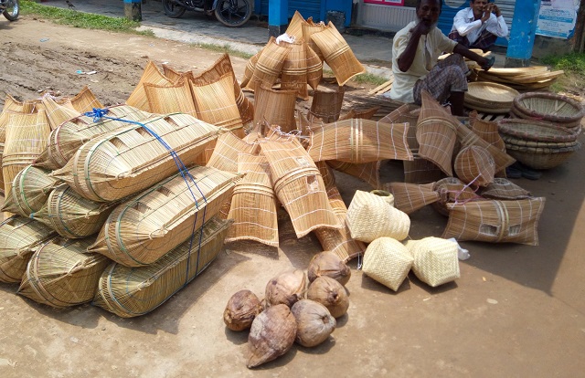 Chai+trup+fish+mbd-3