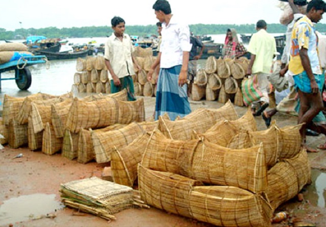 Chai+trup+fish+mbd-5