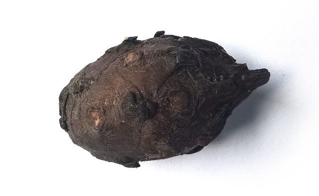 shalok+panifal+mbd-4