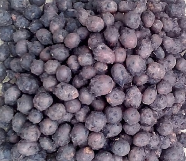 shalok+panifal+mbd-5