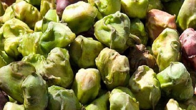 shalok+panifal+mbd-6