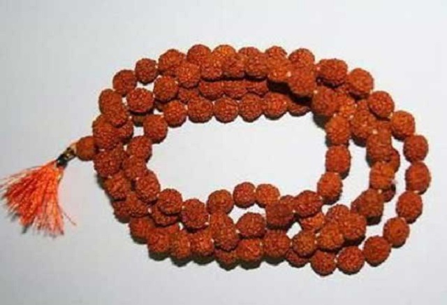 rudraksho+mbd-6