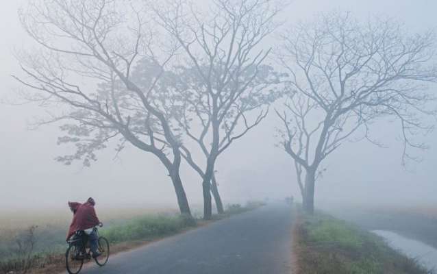 fog+mbd.jpg-11