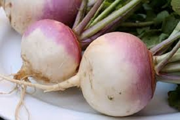 turnip+mbd-3