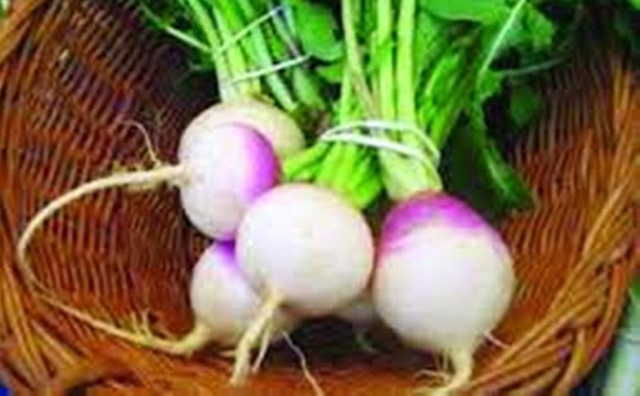 turnip+mbd-6