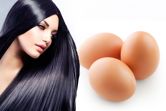 Beauty+Benefits+of+Eggs+for+Hair+mbd