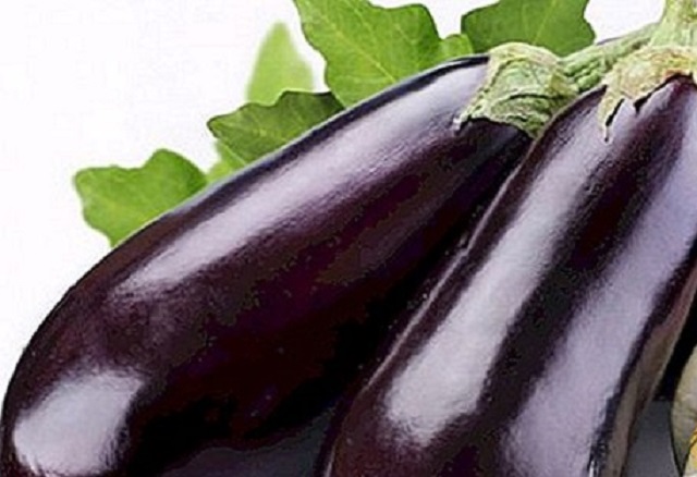 Brinjal+mbd-2