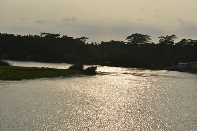 vola+borhanuddin+nature+mbd