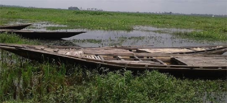 chytrer+jalashoy+mbd-8