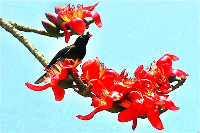 kb-poem-16-3-19-2 - Copy