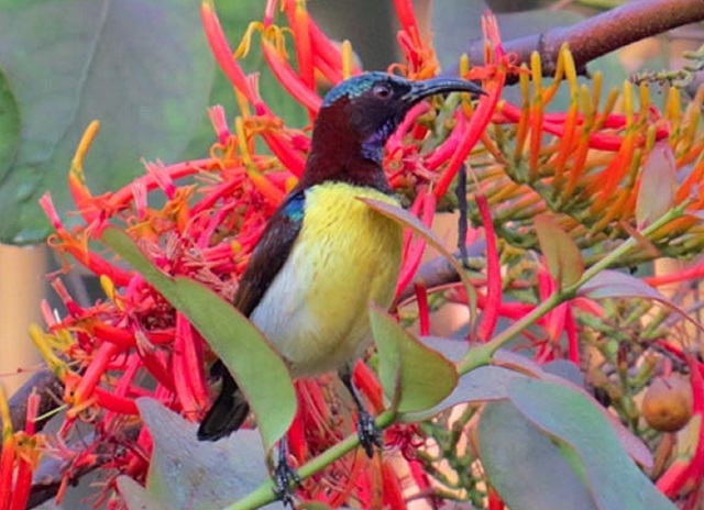 kb-poem-17-3-19-4 - Copy