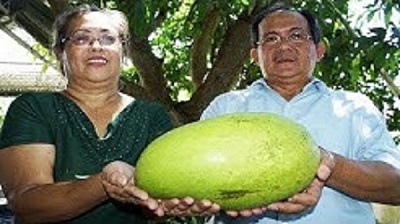 mango+big+mbd-3
