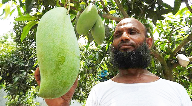 mango+big+mbd-4
