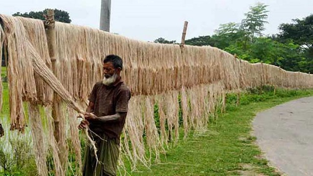 jute+mbd-ok-2