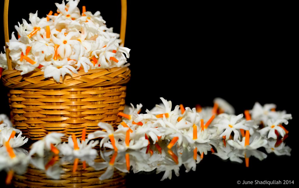 15725254169_bc2231dee5_b