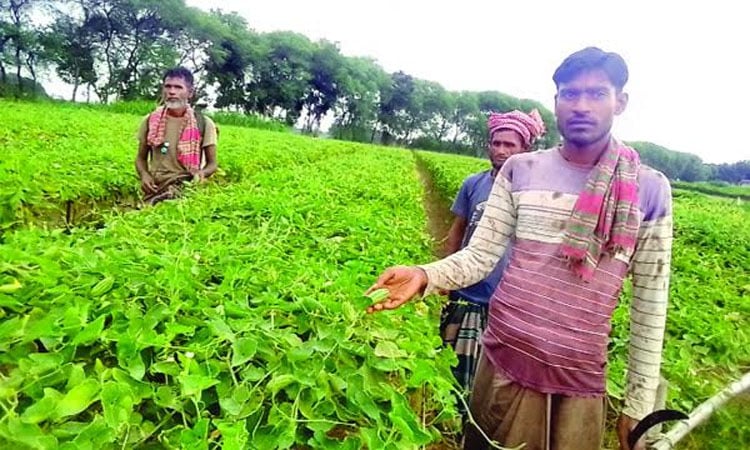 image-64599-1667281832