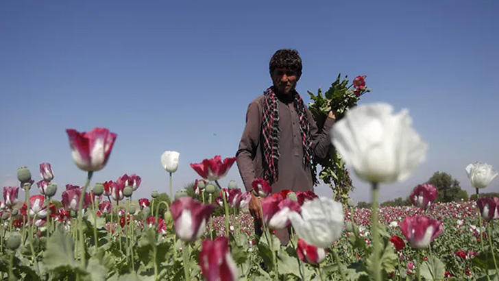 image-537601-1649002964