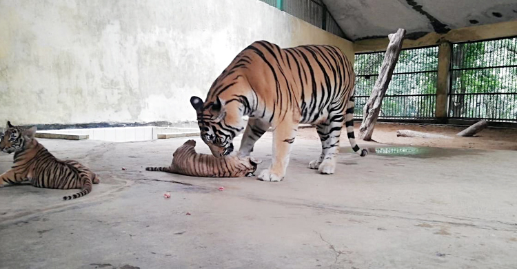 zoo-3-20210819141020