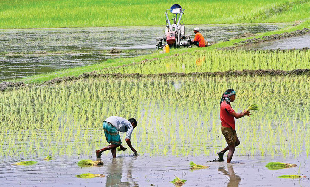 farmer-1568220543052