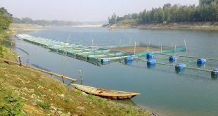 fish+produce+khancha+mbd-5