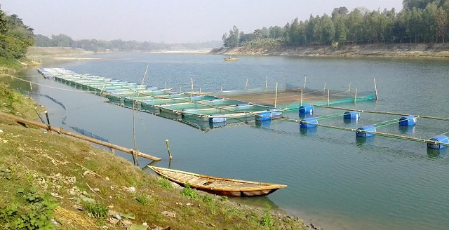 fish+produce+khancha+mbd-5