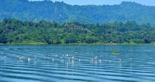 kaptai+lake+mbd-4