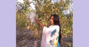 natore+rubina+mbd