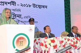 pm+tea+importence+mbd-2