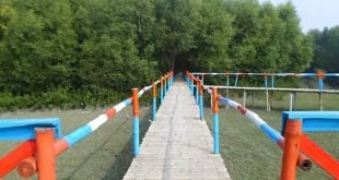 rupshi+mangrove+debhata+mbd-9
