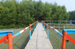 rupshi+mangrove+debhata+mbd-9