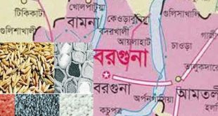 seed+borguna-map+mbd