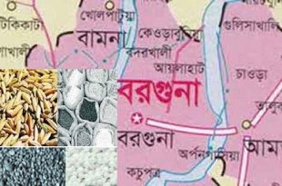 seed+borguna-map+mbd