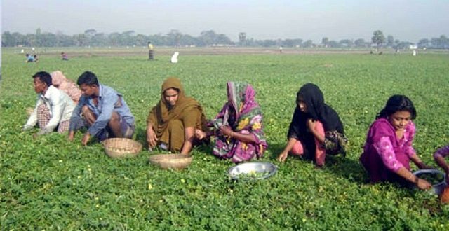 uchheya+produce+mbd-2