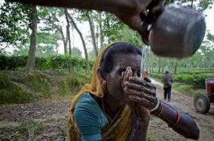 tea+labor's+day+mbd-3