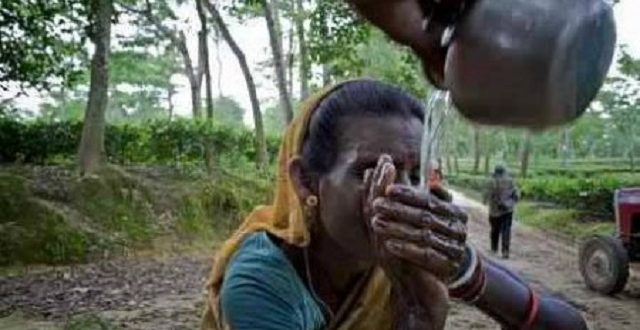 tea+labor's+day+mbd-3