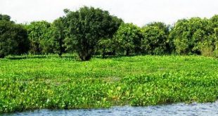 Habiganj+Muktijudda+Complex+mbd-4