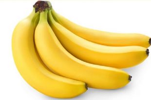 Banana+Panchagarh+mbd-4